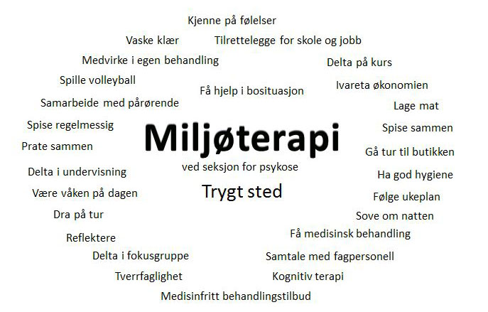 Medisinfri Behandling I Psykisk Helsevern - Sykehuset Telemark HF